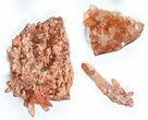 Lot: Natural, Red Quartz Crystal Clusters - Pieces #101514-2